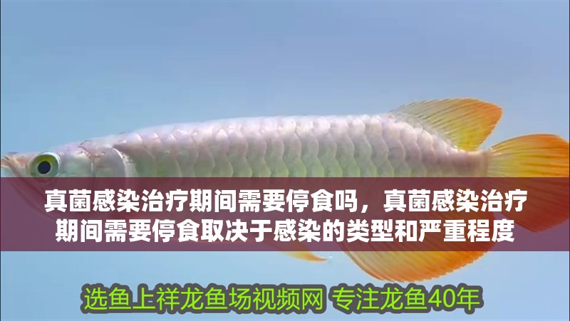 真菌感染治療期間需要停食嗎，真菌感染治療期間需要停食取決于感染的類型和嚴重程度