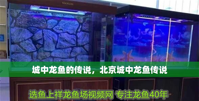 城中龍魚的傳說，北京城中龍魚傳說