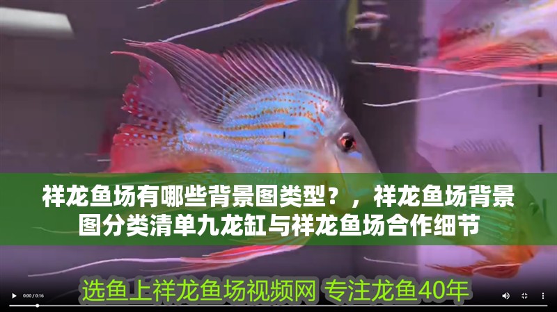 祥龍魚場有哪些背景圖類型？，祥龍魚場背景圖分類清單九龍缸與祥龍魚場合作細節