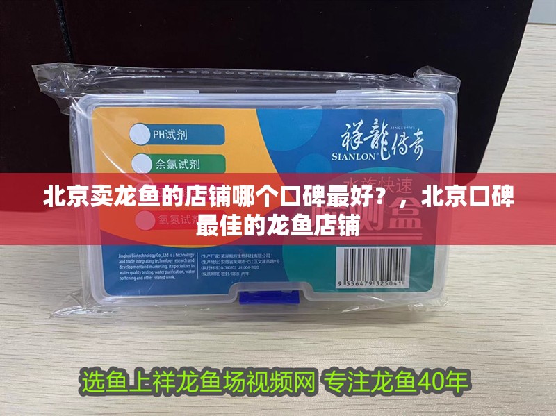 北京賣龍魚的店鋪哪個(gè)口碑最好？，北京口碑最佳的龍魚店鋪