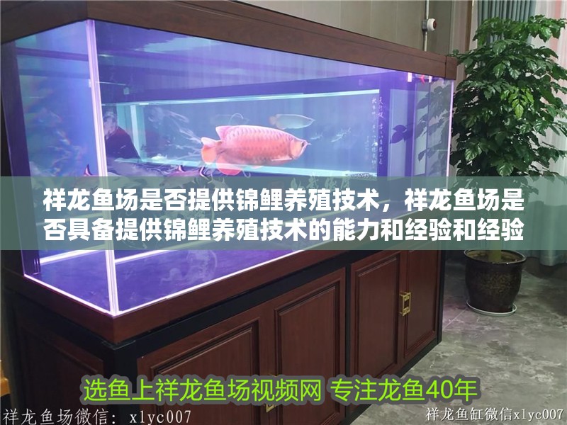 祥龍魚場是否提供錦鯉養殖技術，祥龍魚場是否具備提供錦鯉養殖技術的能力和經驗和經驗