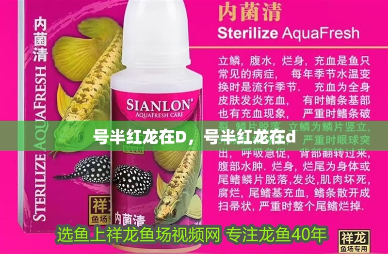 號半紅龍在D，號半紅龍在d