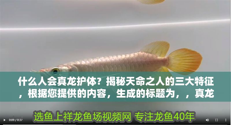 什么人會(huì)真龍護(hù)體？揭秘天命之人的三大特征，根據(jù)您提供的內(nèi)容，生成的標(biāo)題為，，真龍護(hù)體之人有何特征？三大天命標(biāo)志揭示非凡命格 什么人會(huì)真龍護(hù)體？揭秘天命之人的三大特征，根據(jù)您提供的內(nèi)容，生成的標(biāo)題為，，真龍護(hù)體之人有何特征？三大天命標(biāo)志揭示非凡命格 龍魚百科 第1張