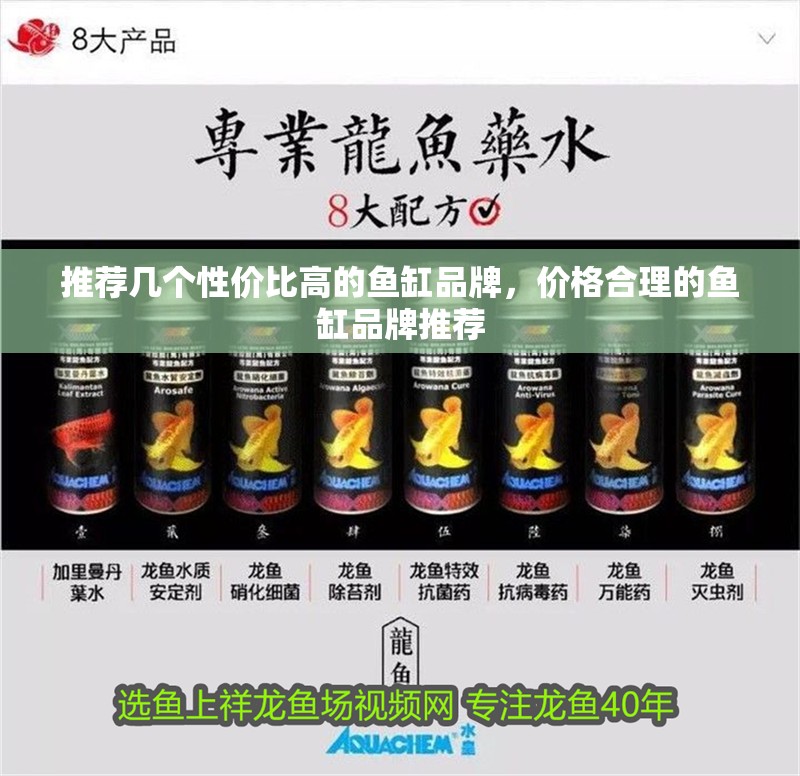 推薦幾個性價比高的魚缸品牌，價格合理的魚缸品牌推薦
