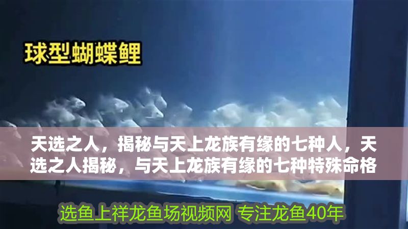 天選之人，揭秘與天上龍族有緣的七種人，天選之人揭秘，與天上龍族有緣的七種特殊命格