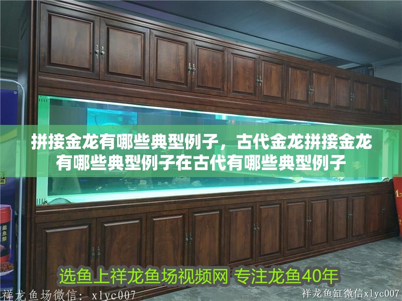 拼接金龍有哪些典型例子，古代金龍拼接金龍有哪些典型例子在古代有哪些典型例子