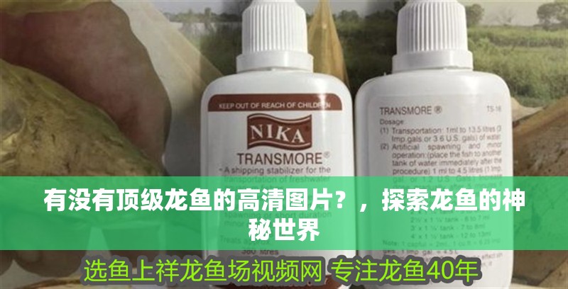 有沒有頂級龍魚的高清圖片？，探索龍魚的神秘世界
