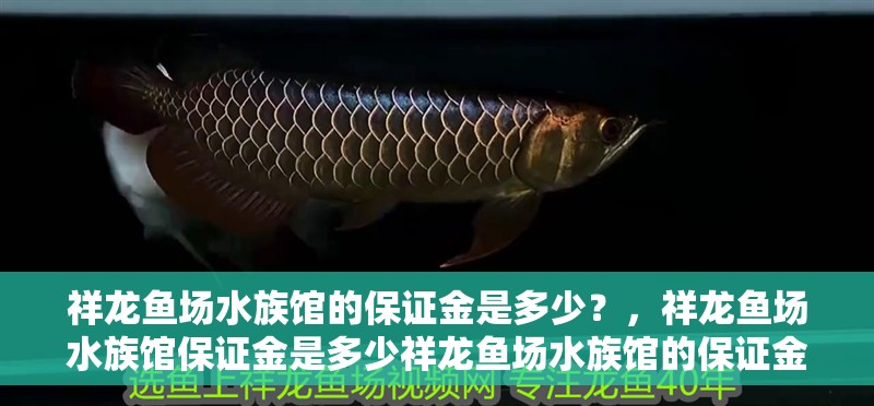 祥龍魚(yú)場(chǎng)水族館的保證金是多少？，祥龍魚(yú)場(chǎng)水族館保證金是多少祥龍魚(yú)場(chǎng)水族館的保證金是多少