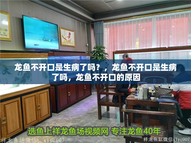 龍魚不開口是生病了嗎？，龍魚不開口是生病了嗎，龍魚不開口的原因