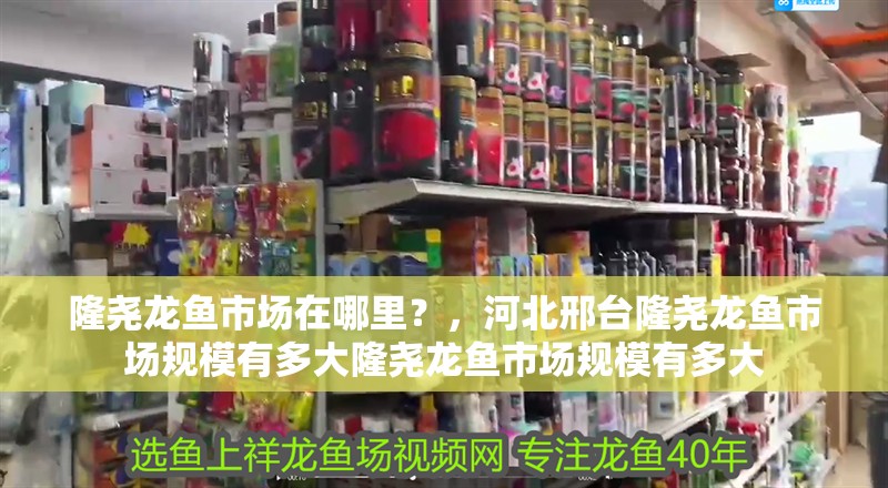 隆堯龍魚市場在哪里？，河北邢臺隆堯龍魚市場規模有多大隆堯龍魚市場規模有多大
