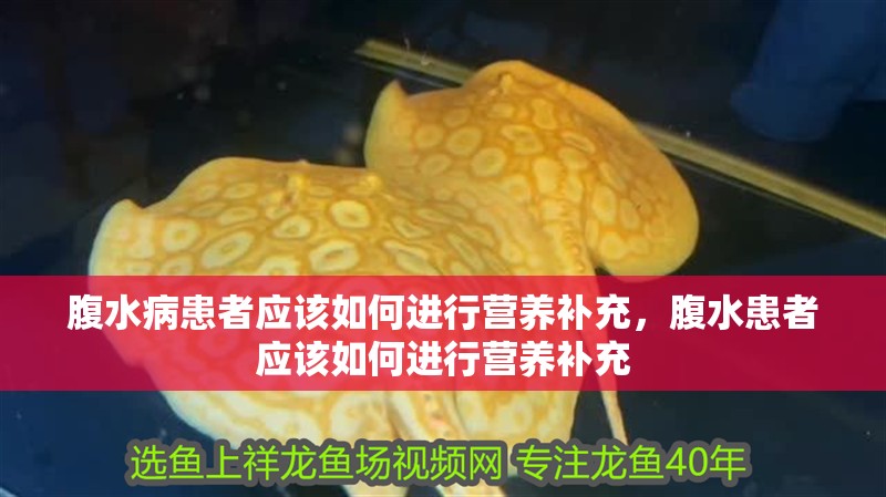 腹水病患者應(yīng)該如何進(jìn)行營養(yǎng)補(bǔ)充，腹水患者應(yīng)該如何進(jìn)行營養(yǎng)補(bǔ)充