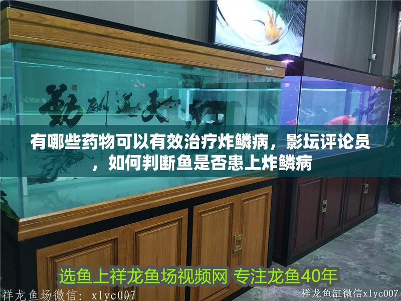 有哪些藥物可以有效治療炸鱗病，影壇評論員，如何判斷魚是否患上炸鱗病