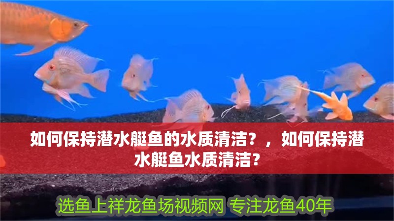 如何保持潛水艇魚的水質清潔？，如何保持潛水艇魚水質清潔？
