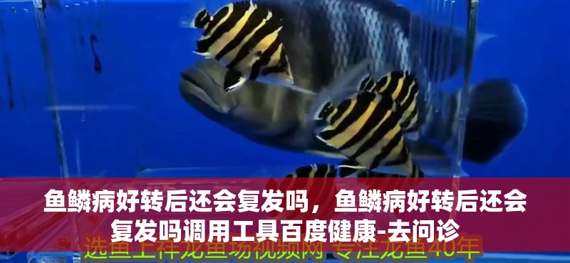 魚鱗病好轉(zhuǎn)后還會復(fù)發(fā)嗎，魚鱗病好轉(zhuǎn)后還會復(fù)發(fā)嗎調(diào)用工具百度健康-去問診