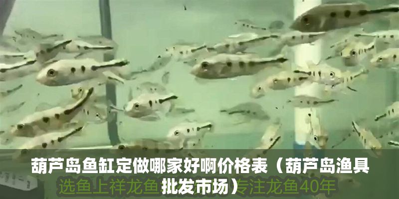 葫蘆島魚缸定做哪家好啊價格表（葫蘆島漁具批發市場）