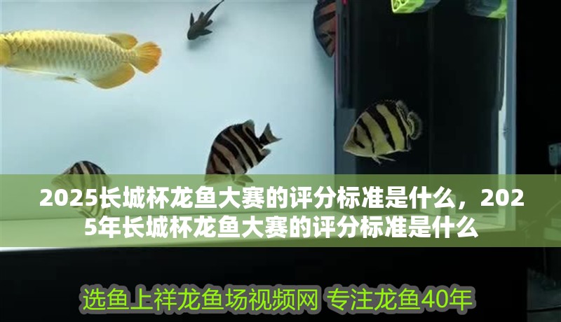 2025長城杯龍魚大賽的評分標準是什么，2025年長城杯龍魚大賽的評分標準是什么