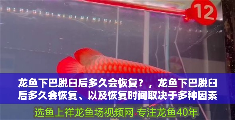 龍魚下巴脫臼后多久會恢復？，龍魚下巴脫臼后多久會恢復、以及恢復時間取決于多種因素