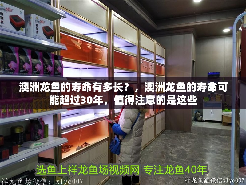 澳洲龍魚的壽命有多長？，澳洲龍魚的壽命可能超過30年，值得注意的是這些
