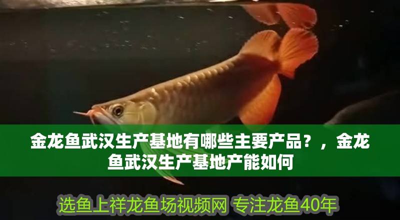 金龍魚武漢生產基地有哪些主要產品？，金龍魚武漢生產基地產能如何