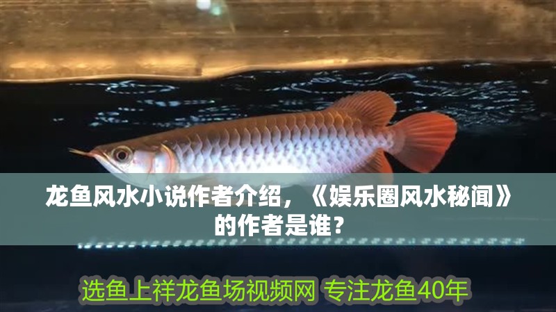 龍魚風水小說作者介紹，《娛樂圈風水秘聞》的作者是誰？