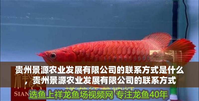 貴州景源農業發展有限公司的聯系方式是什么，貴州景源農業發展有限公司的聯系方式