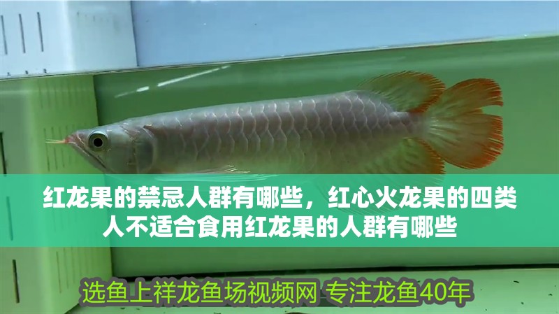 紅龍果的禁忌人群有哪些，紅心火龍果的四類人不適合食用紅龍果的人群有哪些