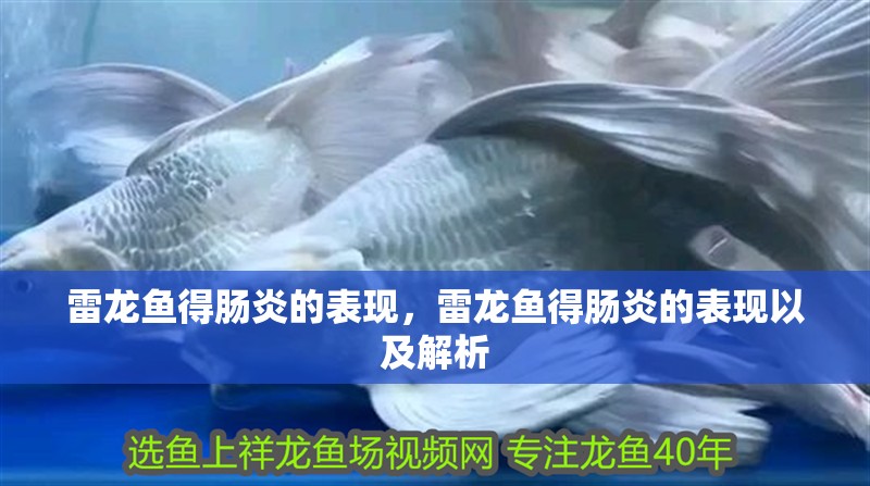 雷龍魚得腸炎的表現，雷龍魚得腸炎的表現以及解析