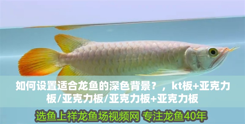 如何設(shè)置適合龍魚的深色背景？，kt板+亞克力板/亞克力板/亞克力板+亞克力板