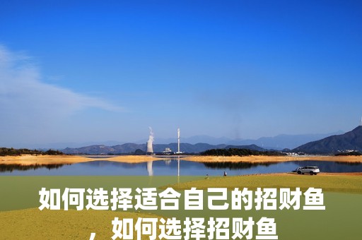 如何選擇適合自己的招財魚，如何選擇招財魚