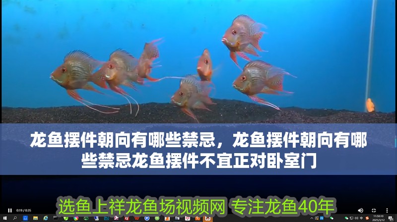 龍魚擺件朝向有哪些禁忌，龍魚擺件朝向有哪些禁忌龍魚擺件不宜正對臥室門
