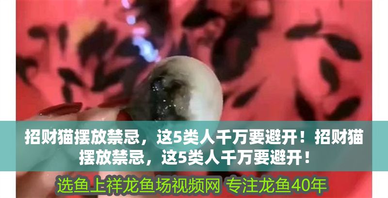 招財貓擺放禁忌，這5類人千萬要避開！招財貓擺放禁忌，這5類人千萬要避開！