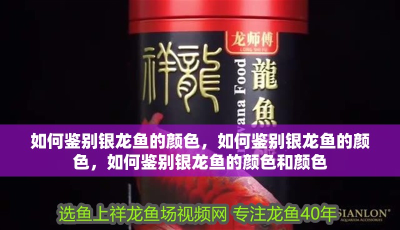 如何鑒別銀龍魚的顏色，如何鑒別銀龍魚的顏色，如何鑒別銀龍魚的顏色和顏色