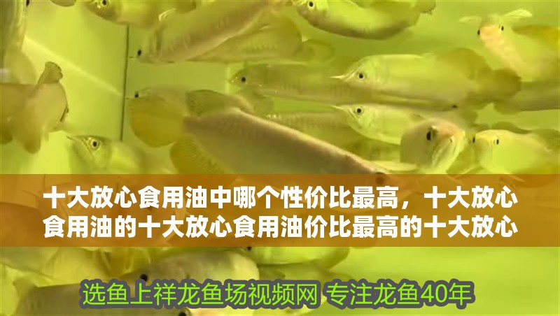 十大放心食用油中哪個性價比最高，十大放心食用油的十大放心食用油價比最高的十大放心食用油