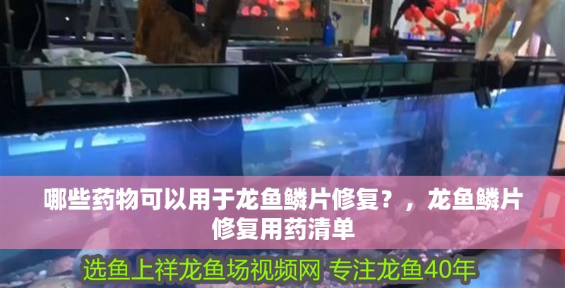哪些藥物可以用于龍魚鱗片修復？，龍魚鱗片修復用藥清單