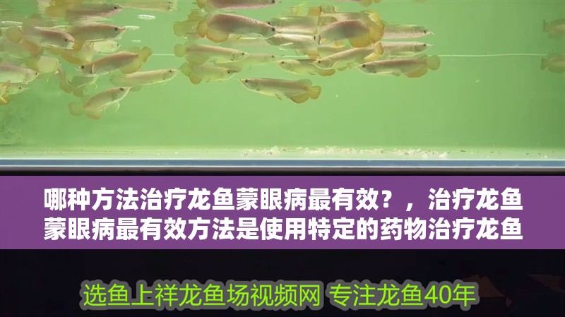 哪種方法治療龍魚蒙眼病最有效？，治療龍魚蒙眼病最有效方法是使用特定的藥物治療龍魚蒙眼病