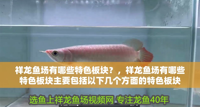 祥龍魚(yú)場(chǎng)有哪些特色板塊？，祥龍魚(yú)場(chǎng)有哪些特色板塊主要包括以下幾個(gè)方面的特色板塊