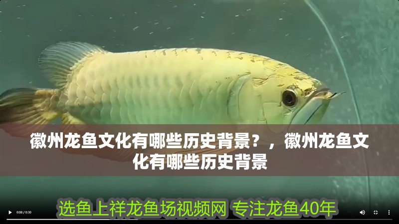 徽州龍魚文化有哪些歷史背景？，徽州龍魚文化有哪些歷史背景