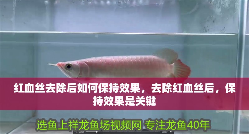 紅血絲去除后如何保持效果，去除紅血絲后，保持效果是關鍵