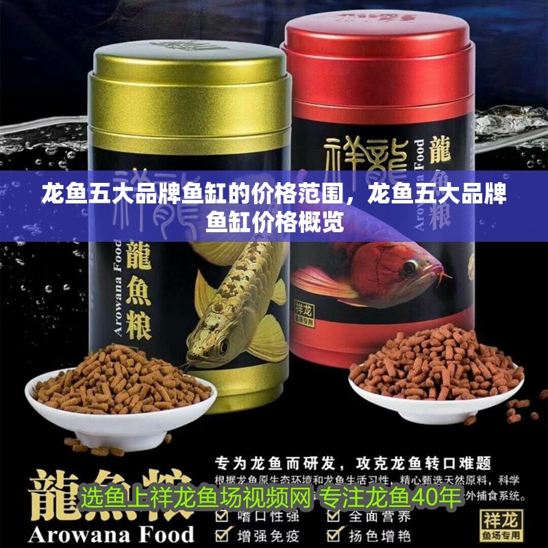 龍魚五大品牌魚缸的價格范圍，龍魚五大品牌魚缸價格概覽