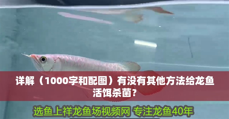 詳解（1000字和配圖）有沒有其他方法給龍魚活餌殺菌？