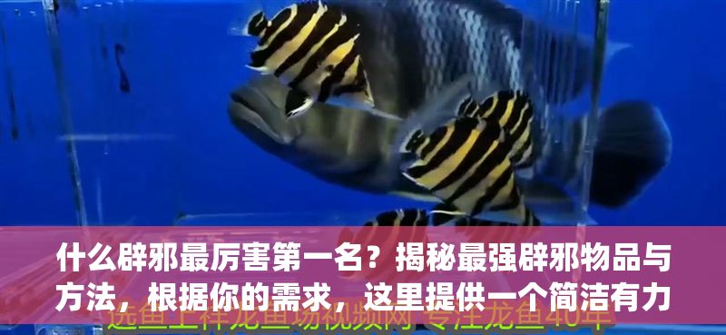 什么辟邪最厲害第一名？揭秘最強辟邪物品與方法，根據(jù)你的需求，這里提供一個簡潔有力的標題，，辟邪最強物品Top1揭曉！民間公認最靈驗方法大公開，聚焦第一名的懸念感，同時涵蓋物品與方法的核心信息，符合揭秘類內(nèi)容的傳播特點。）