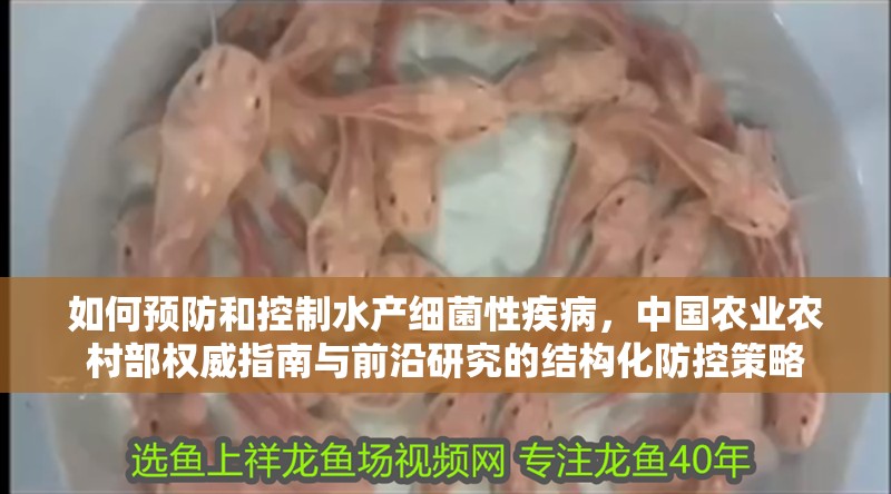 如何預防和控制水產細菌性疾病，中國農業農村部權威指南與前沿研究的結構化防控策略