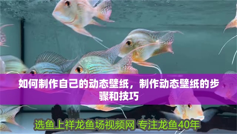 如何制作自己的動態壁紙，制作動態壁紙的步驟和技巧