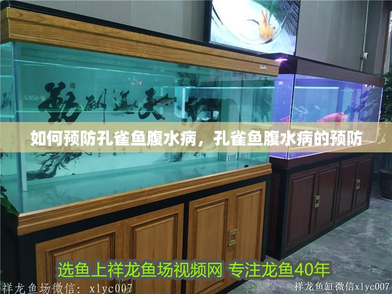 如何預防孔雀魚腹水病，孔雀魚腹水病的預防