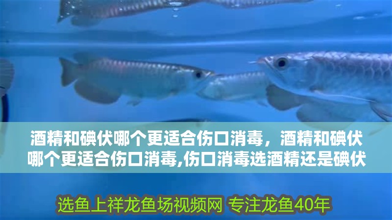 酒精和碘伏哪個更適合傷口消毒，酒精和碘伏哪個更適合傷口消毒,傷口消毒選酒精還是碘伏?