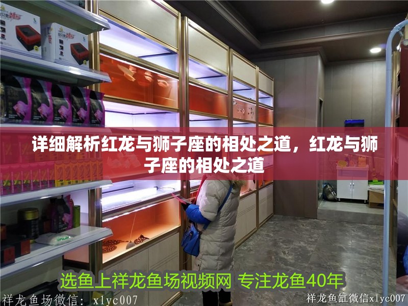 詳細解析紅龍與獅子座的相處之道，紅龍與獅子座的相處之道