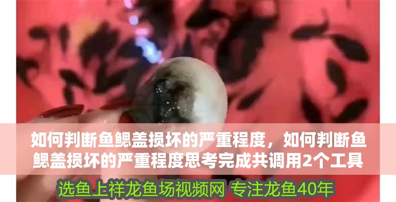 如何判斷魚鰓蓋損壞的嚴(yán)重程度，如何判斷魚鰓蓋損壞的嚴(yán)重程度思考完成共調(diào)用2個(gè)工具