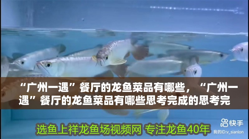“廣州一遇”餐廳的龍魚菜品有哪些，“廣州一遇”餐廳的龍魚菜品有哪些思考完成的思考完成