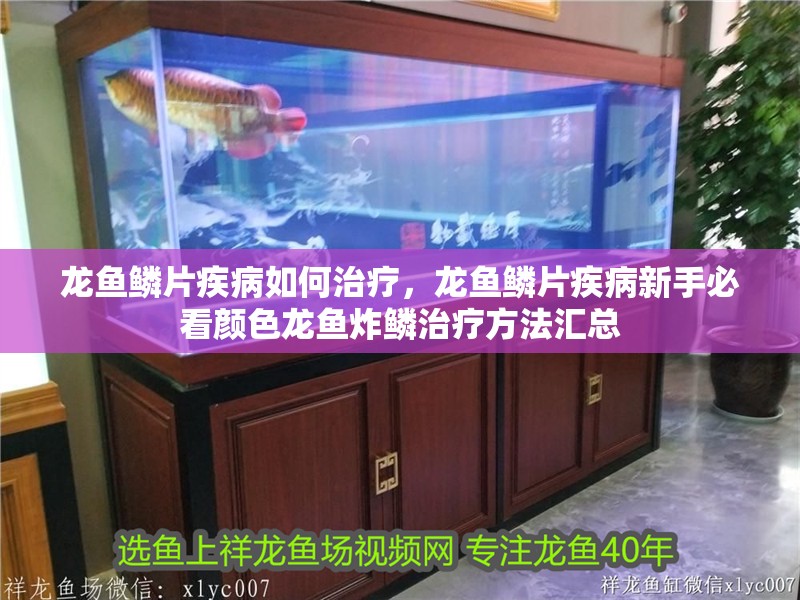 龍魚鱗片疾病如何治療，龍魚鱗片疾病新手必看顏色龍魚炸鱗治療方法匯總