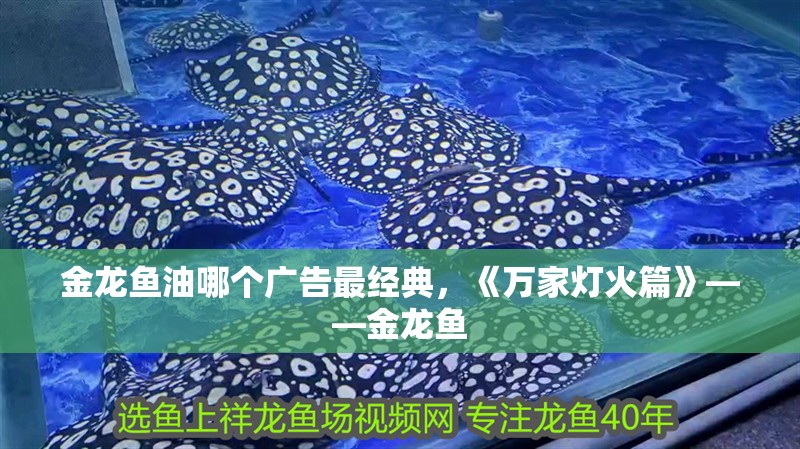 金龍魚(yú)油哪個(gè)廣告最經(jīng)典，《萬(wàn)家燈火篇》——金龍魚(yú)
